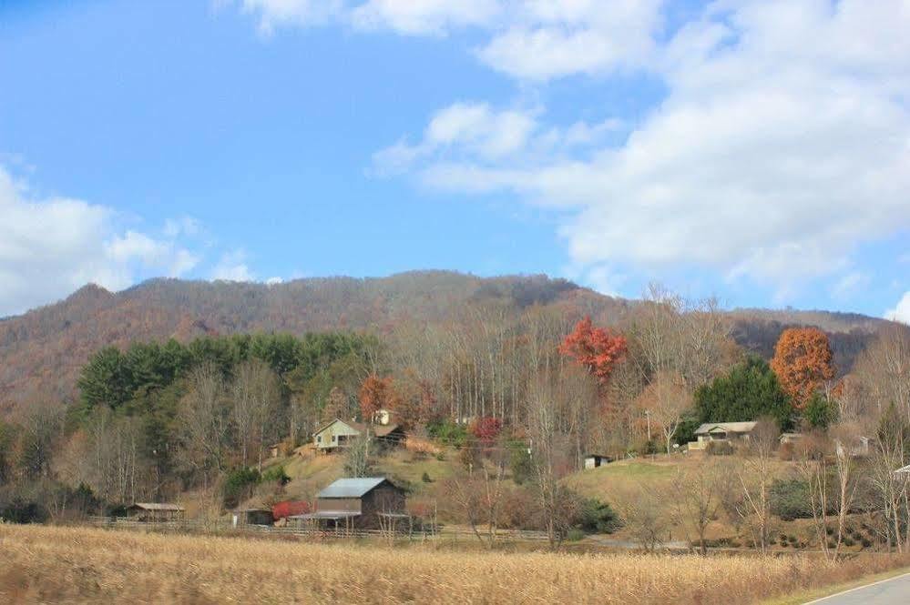 The Yellow House On Plott Creek Waynesville Exterior foto