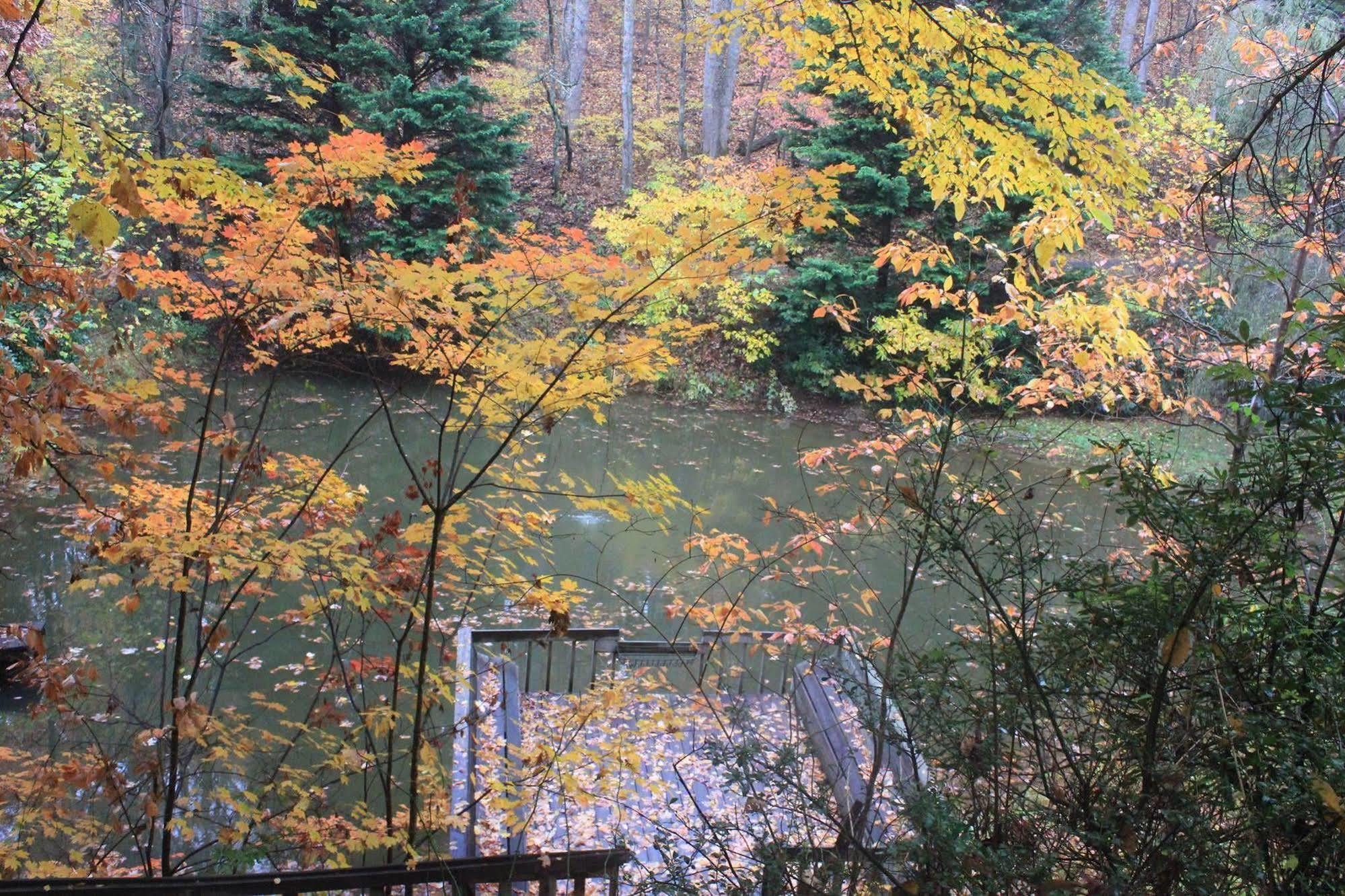 The Yellow House On Plott Creek Waynesville Exterior foto